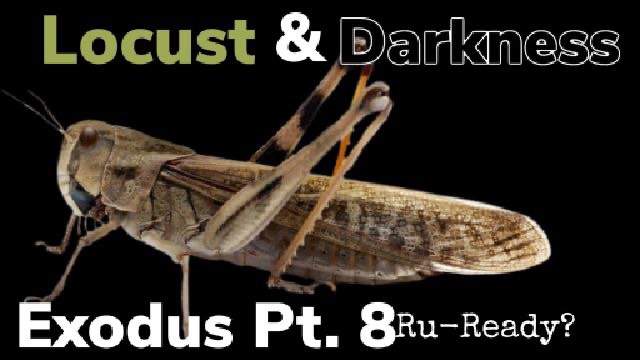 CuttingEdge: Exodus Pt.8 R-U Ready Locust & Darkness